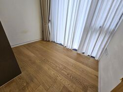 Cairnhill 16 (D9), Apartment #629157201